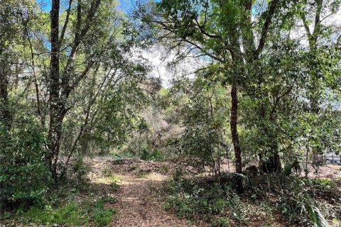 Terrain à Brooksville, Floride № 2229632