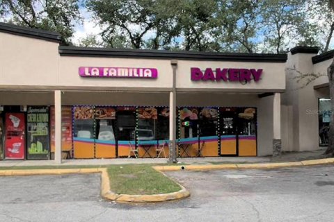 Commercial property in Tampa, Florida № 2314283