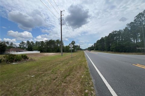 Land in Ocala, Florida № 2206642