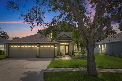 House in Riverview, Florida 5 bedrooms, 301 sq.m. № 1914340 - photo 1