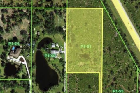 Terrain à Punta Gorda, Floride № 2128150