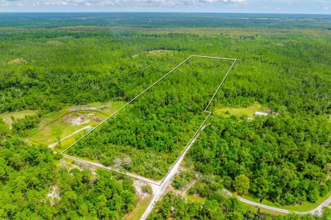 Land in Deltona, Florida № 2393881 - photo 2