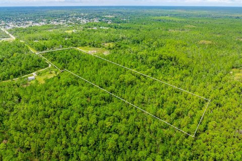 Land in Deltona, Florida № 2393881 - photo 4