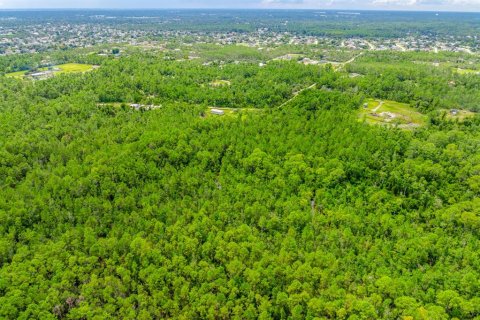 Land in Deltona, Florida № 2393881 - photo 7