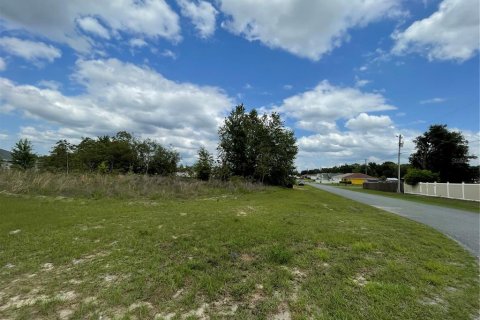 Terreno en venta en Ocala, Florida № 1578896 - foto 2