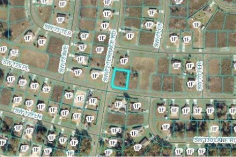 Terreno en venta en Ocala, Florida № 1578896 - foto 27