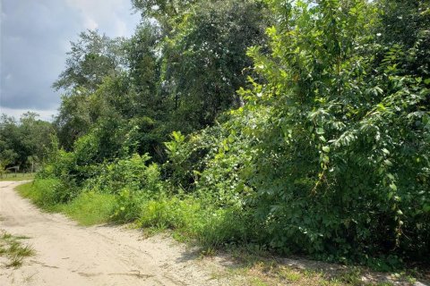 Land in Paisley, Florida № 2273212