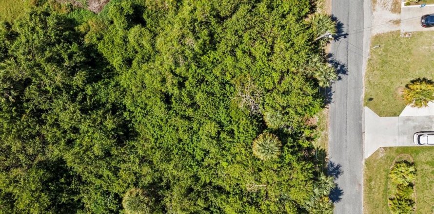Terrain à Fort Pierce, Floride № 1056981