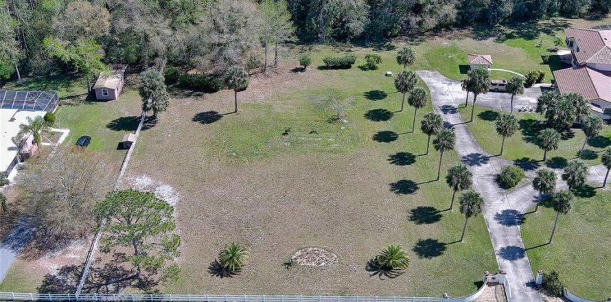 Land in Port Orange, Florida № 1589897