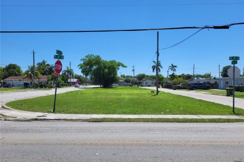 Land in Homestead, Florida № 2262822 - photo 9