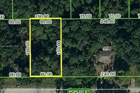 Terreno en Lake Placid, Florida № 2173263