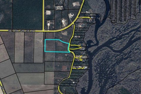 Land in Wewahitchka, Florida № 1885968 - photo 1