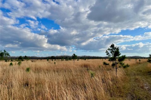 Land in Land O' Lakes, Florida № 365308 - photo 8