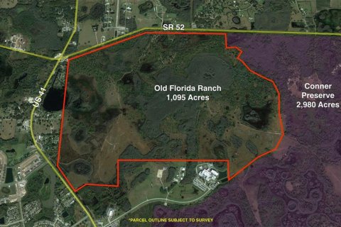 Land in Land O' Lakes, Florida № 365308 - photo 4