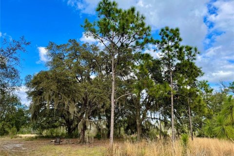 Land in Land O' Lakes, Florida № 365308 - photo 9
