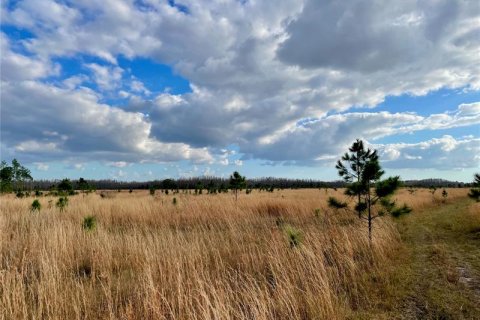 Land in Land O' Lakes, Florida № 365308 - photo 1