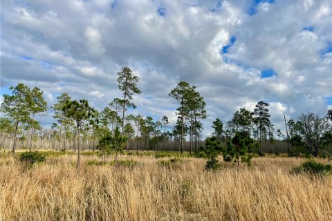 Land in Land O' Lakes, Florida № 365308 - photo 14