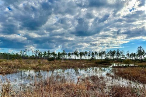 Land in Land O' Lakes, Florida № 365308 - photo 7