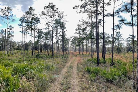 Land in Land O' Lakes, Florida № 365308 - photo 11