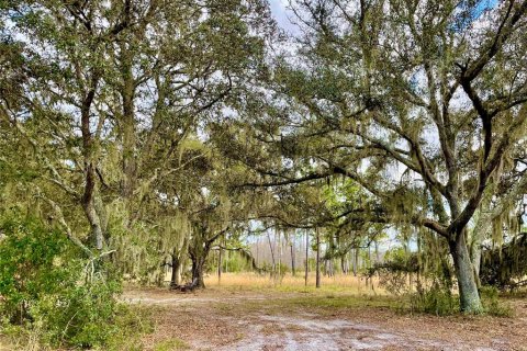 Land in Land O' Lakes, Florida № 365308 - photo 13