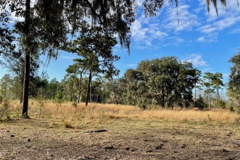 Land in Land O' Lakes, Florida № 365308 - photo 12