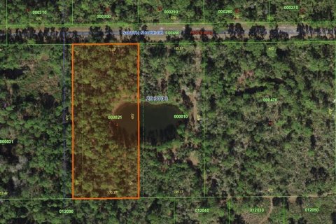 Land in Lake Wales, Florida № 1919815 - photo 3