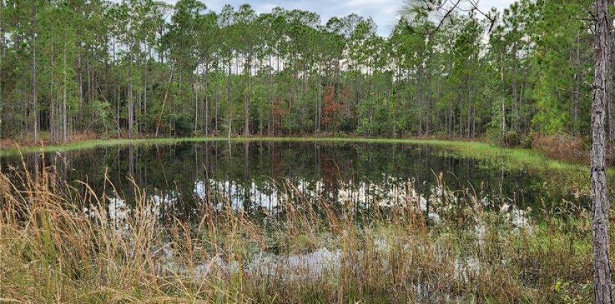 Terrain à Lake Wales, Floride № 1919815