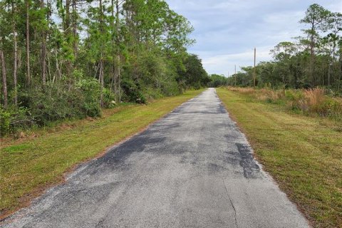 Land in Lake Wales, Florida № 1919815 - photo 5