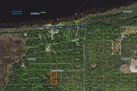 Land in Lake Wales, Florida № 1919815 - photo 2