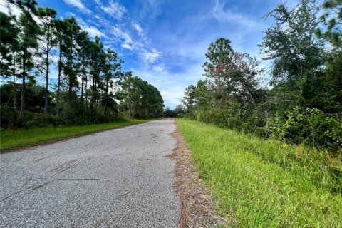 Land in Port Charlotte, Florida № 2159971