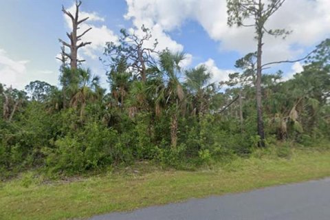 Land in Port Charlotte, Florida № 2164858 - photo 2