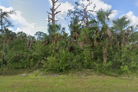 Land in Port Charlotte, Florida № 2164858