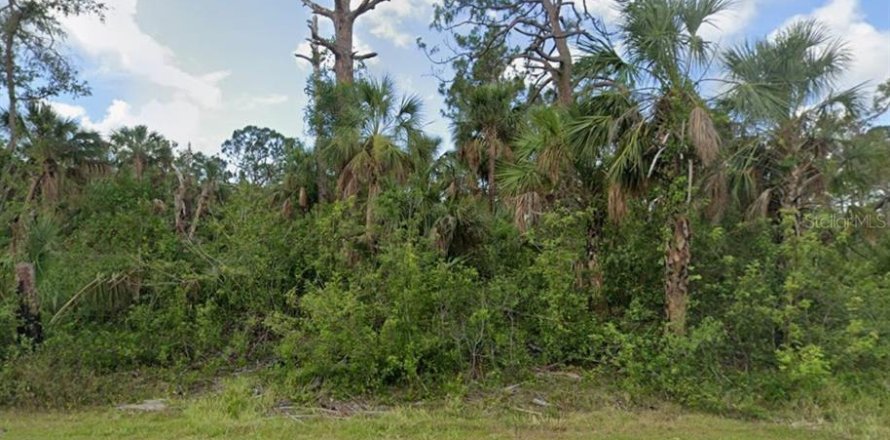 Land in Port Charlotte, Florida № 2164858