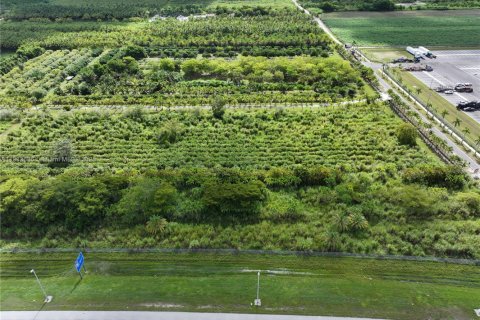 Commercial property in Homestead, Florida № 1817150 - photo 21