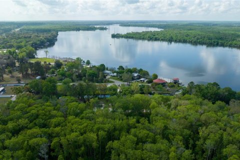 Land in East Palatka, Florida № 1901299 - photo 14