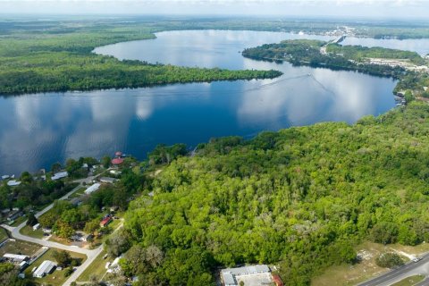 Land in East Palatka, Florida № 1901299 - photo 6