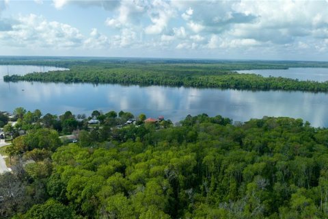Land in East Palatka, Florida № 1901299 - photo 17