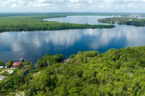 Land in East Palatka, Florida № 1901299 - photo 23