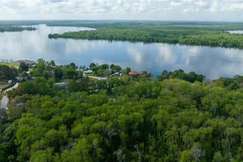 Land in East Palatka, Florida № 1901299 - photo 15