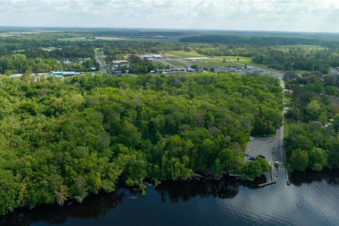 Land in East Palatka, Florida № 1901299 - photo 12