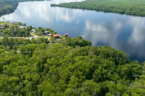 Land in East Palatka, Florida № 1901299 - photo 24