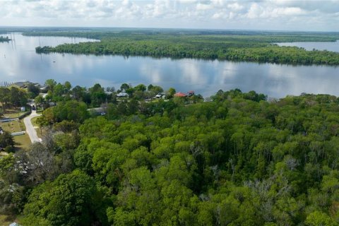 Land in East Palatka, Florida № 1901299 - photo 16