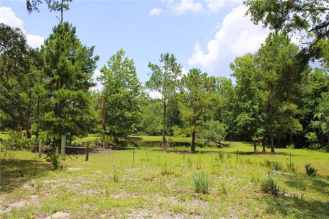 Land in Geneva, Florida № 1785180 - photo 2