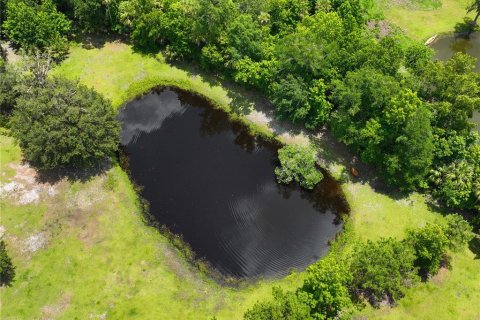 Land in Geneva, Florida № 1785180 - photo 4