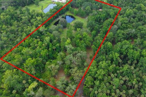 Land in Geneva, Florida № 1785180 - photo 7