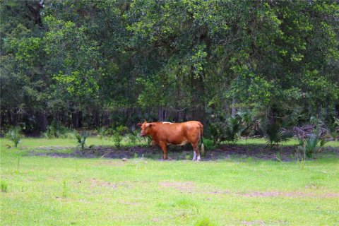 Land in Geneva, Florida № 1785180 - photo 21