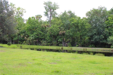 Land in Geneva, Florida № 1785180 - photo 18