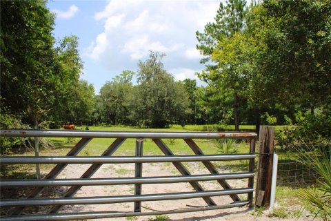 Land in Geneva, Florida № 1785180 - photo 17