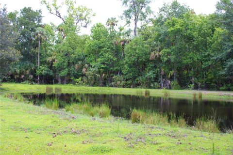 Land in Geneva, Florida № 1785180 - photo 19