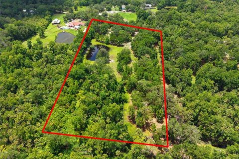Land in Geneva, Florida № 1785180 - photo 8
